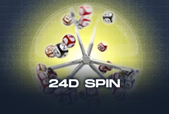 24Dspin